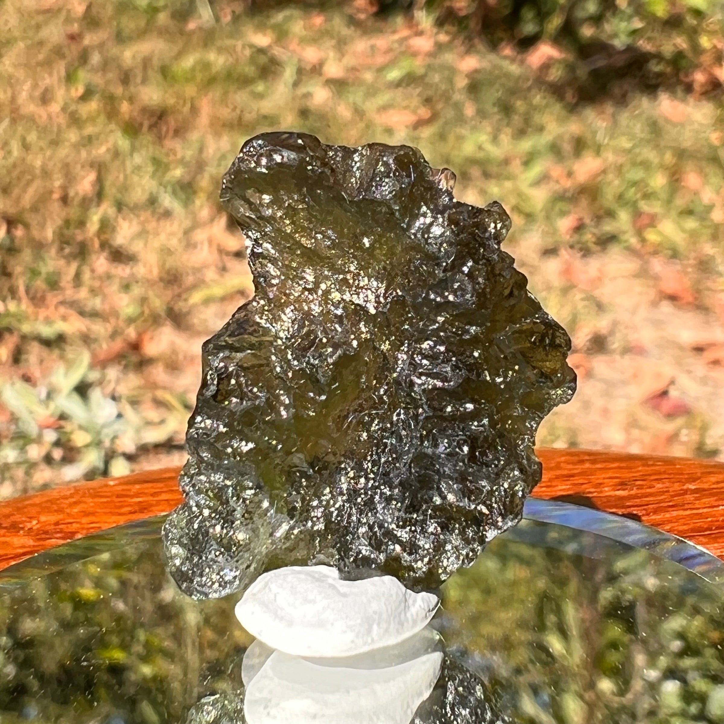 Moldavite 3.9 grams #1750-Moldavite Life