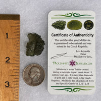 Moldavite 3.9 grams #1750-Moldavite Life