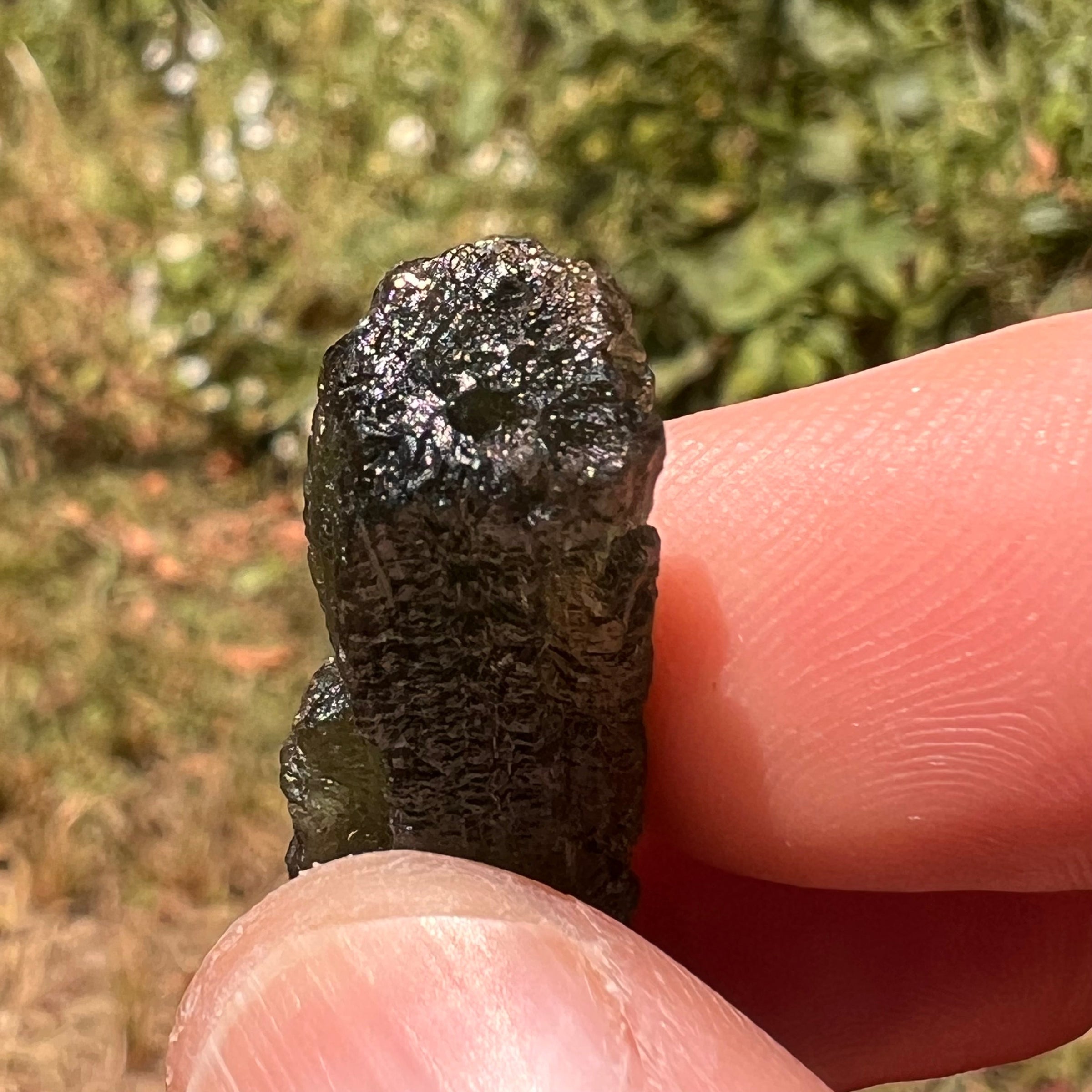 Moldavite 3.9 grams #1752-Moldavite Life