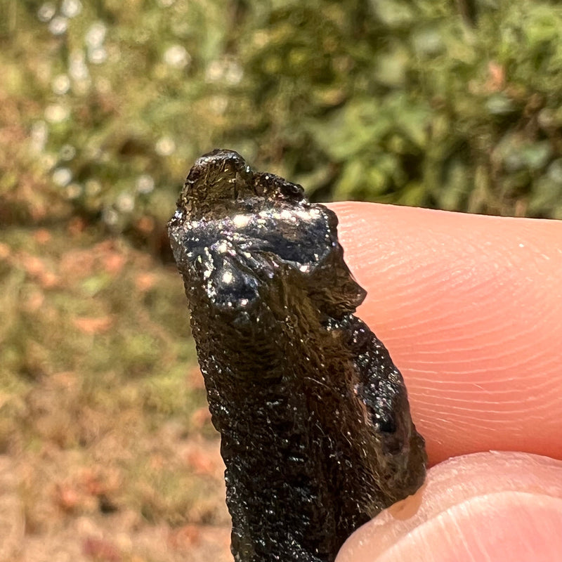 Moldavite 3.9 grams #1752-Moldavite Life