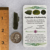 Moldavite 3.9 grams #1752-Moldavite Life