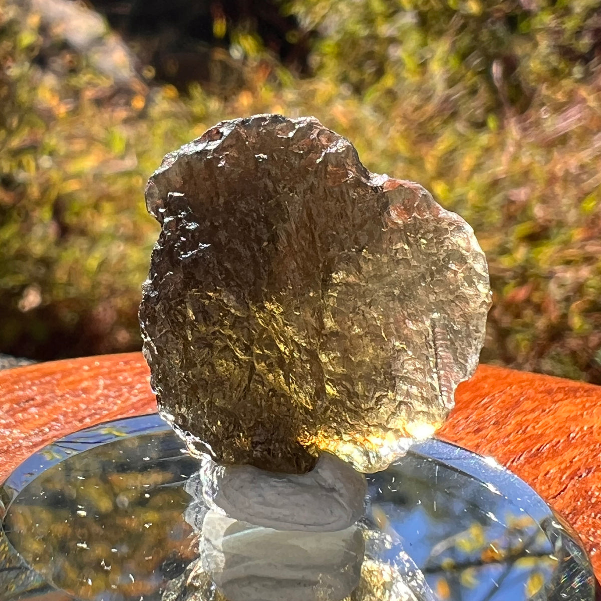 Moldavite 3.9 grams #2215-Moldavite Life