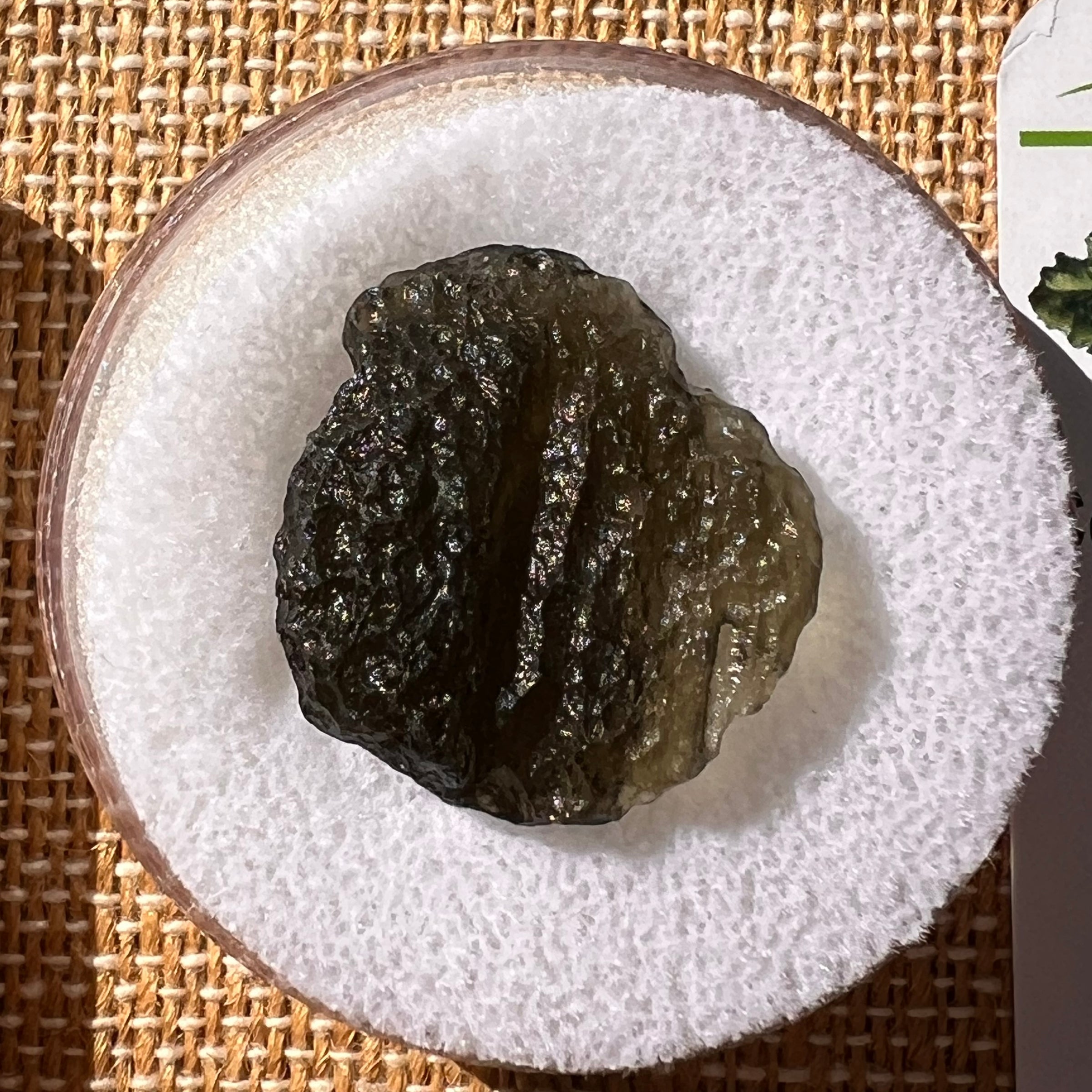 Moldavite 3.9 grams #2215-Moldavite Life