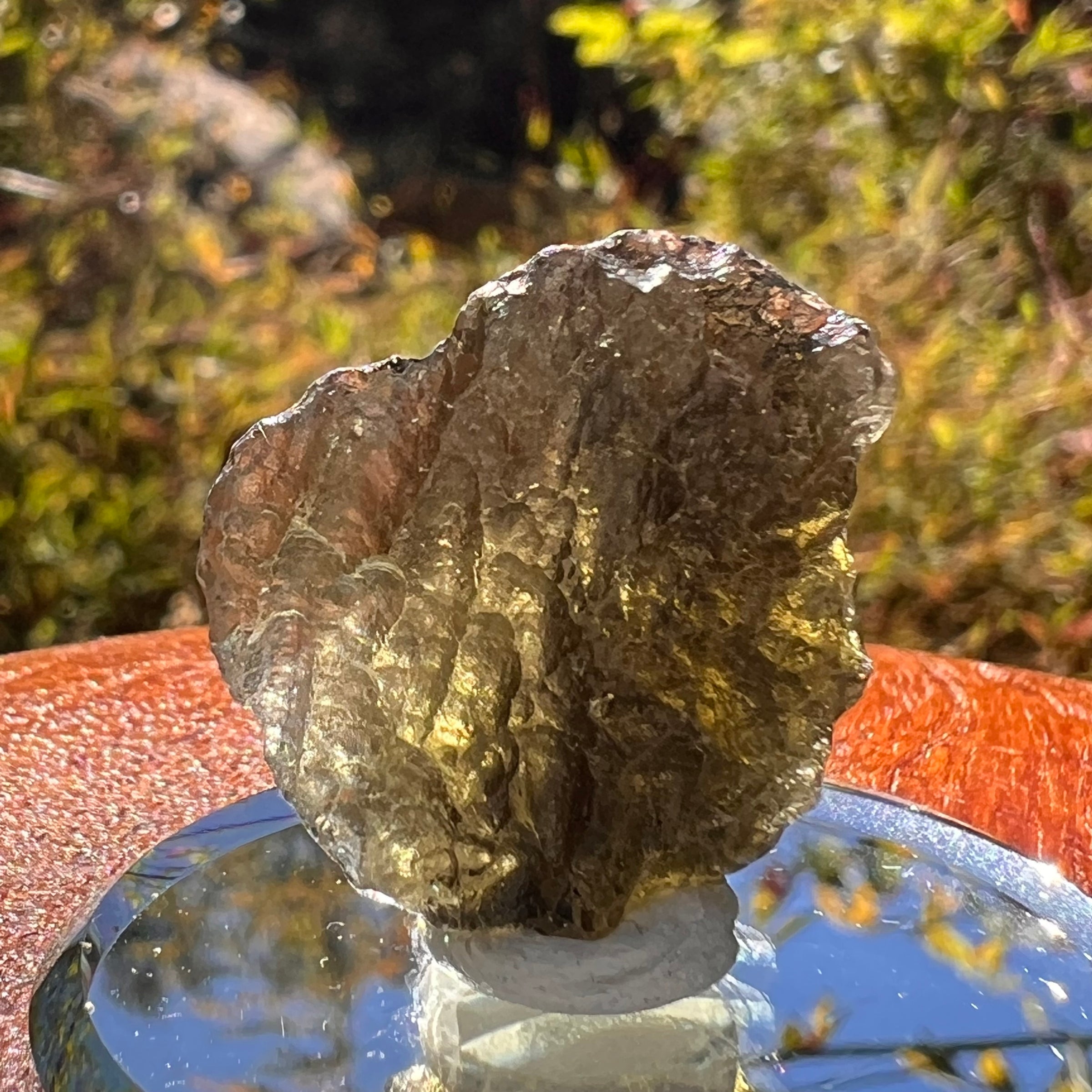 Moldavite 3.9 grams #2215-Moldavite Life