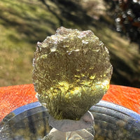 Moldavite 3.9 grams #2412-Moldavite Life