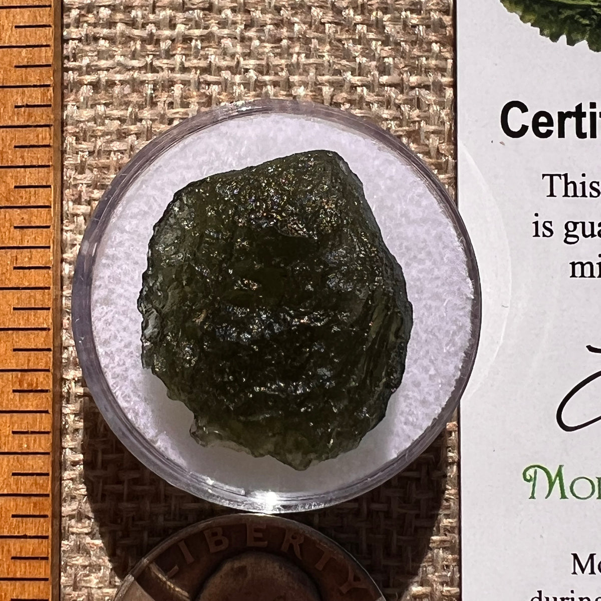 Moldavite 3.9 grams #2412-Moldavite Life
