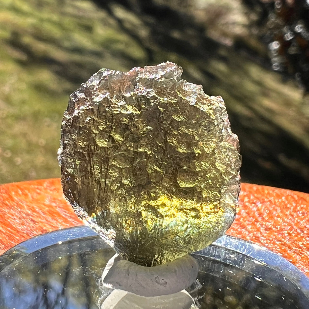 Moldavite 3.9 grams #2412-Moldavite Life