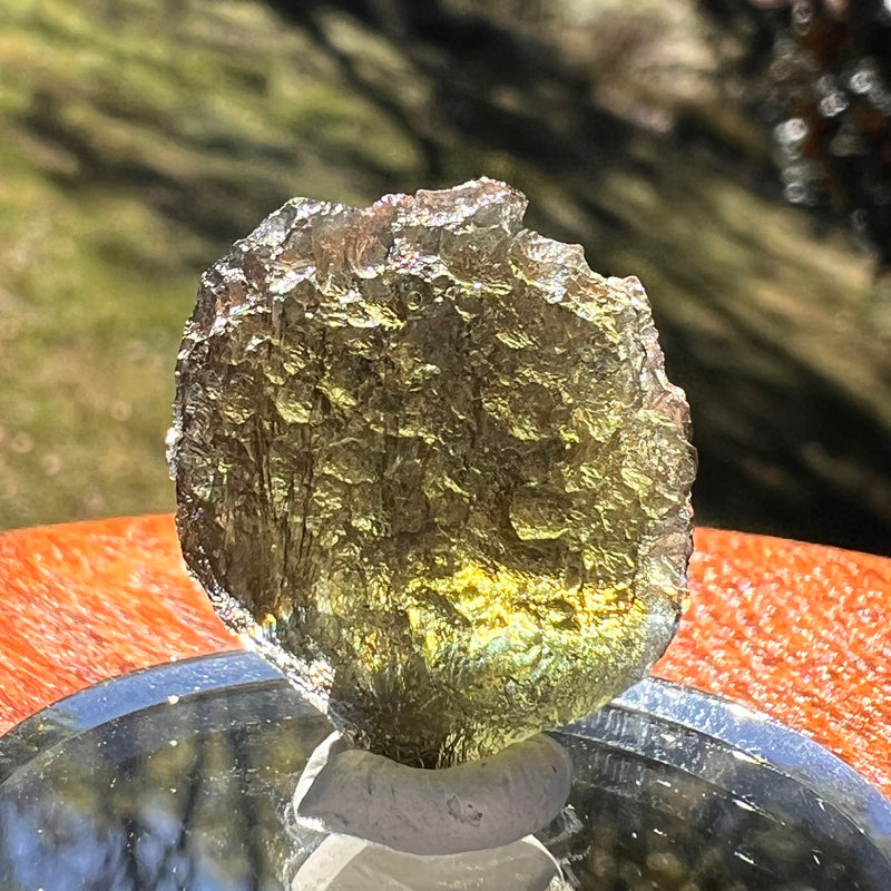 Moldavite 3.9 grams #2412-Moldavite Life