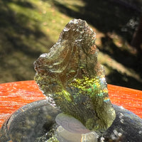 Moldavite 4 grams #2387-Moldavite Life