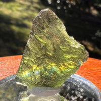 Moldavite 4 grams #2387-Moldavite Life