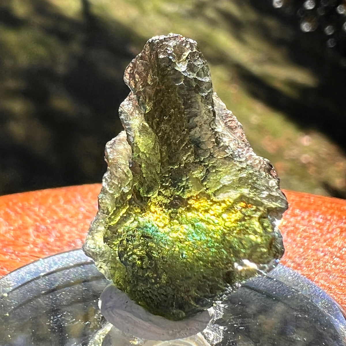 Moldavite 4 grams #2387-Moldavite Life