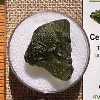 Moldavite 4 grams #2387-Moldavite Life