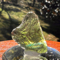 Moldavite 4 grams #2387-Moldavite Life