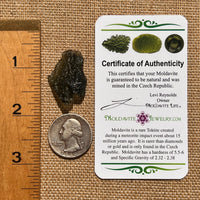 Moldavite 4.1 grams #1664-Moldavite Life