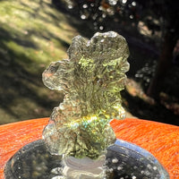 Moldavite 4.1 grams #2385-Moldavite Life