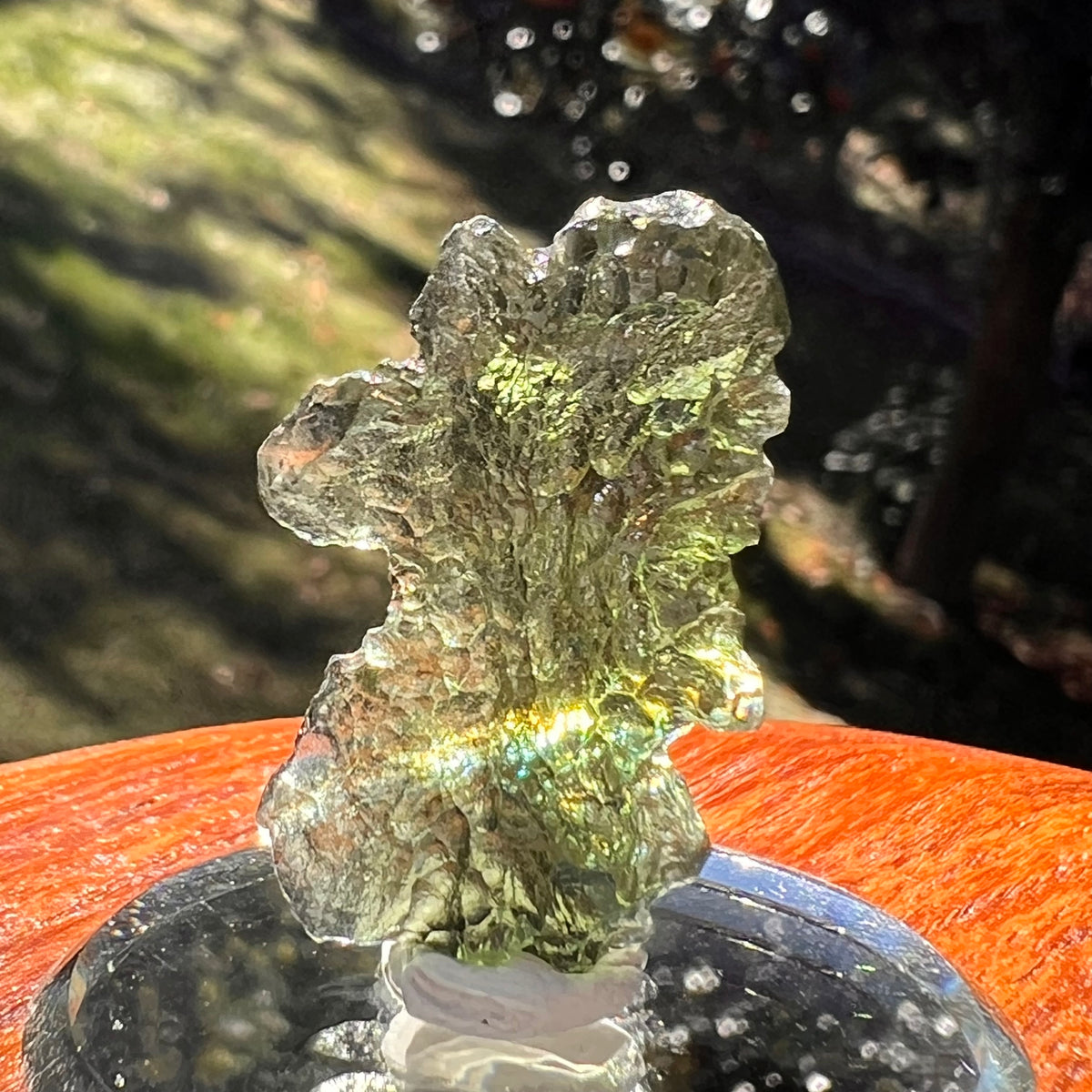 Moldavite 4.1 grams #2385-Moldavite Life