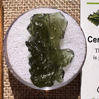 Moldavite 4.1 grams #2385-Moldavite Life