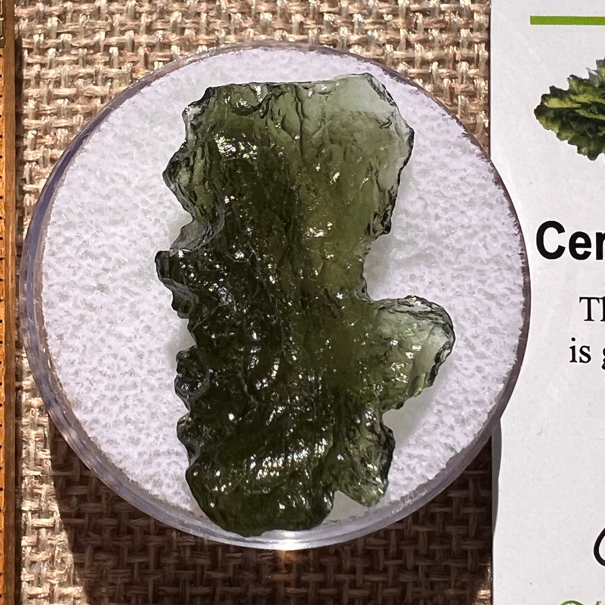 Moldavite 4.1 grams #2385-Moldavite Life