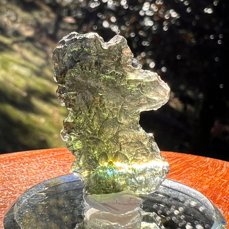 Moldavite 4.1 grams #2385-Moldavite Life