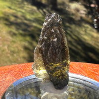 Moldavite 4.1 grams #2393-Moldavite Life