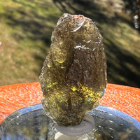 Moldavite 4.1 grams #2393-Moldavite Life