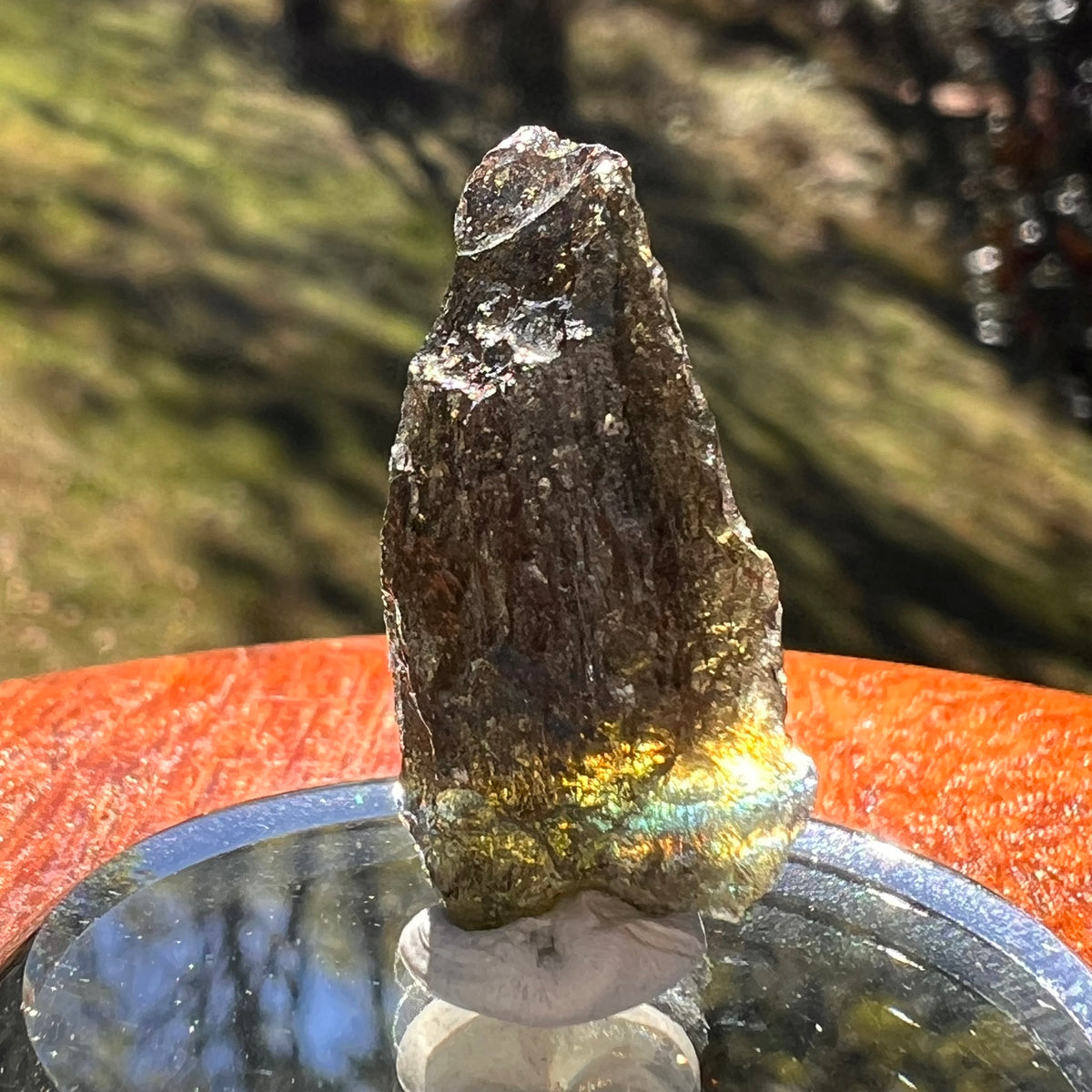 Moldavite 4.1 grams #2393-Moldavite Life