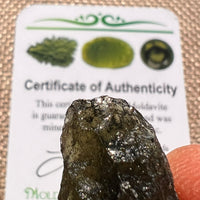 Moldavite 4.1 grams #2393-Moldavite Life