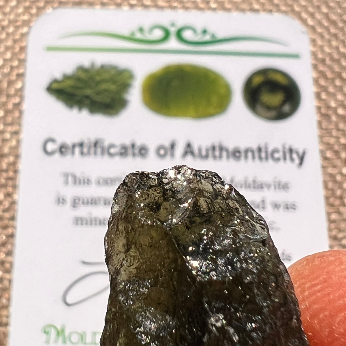 Moldavite 4.1 grams #2393-Moldavite Life
