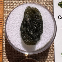 Moldavite 4.1 grams #2393-Moldavite Life