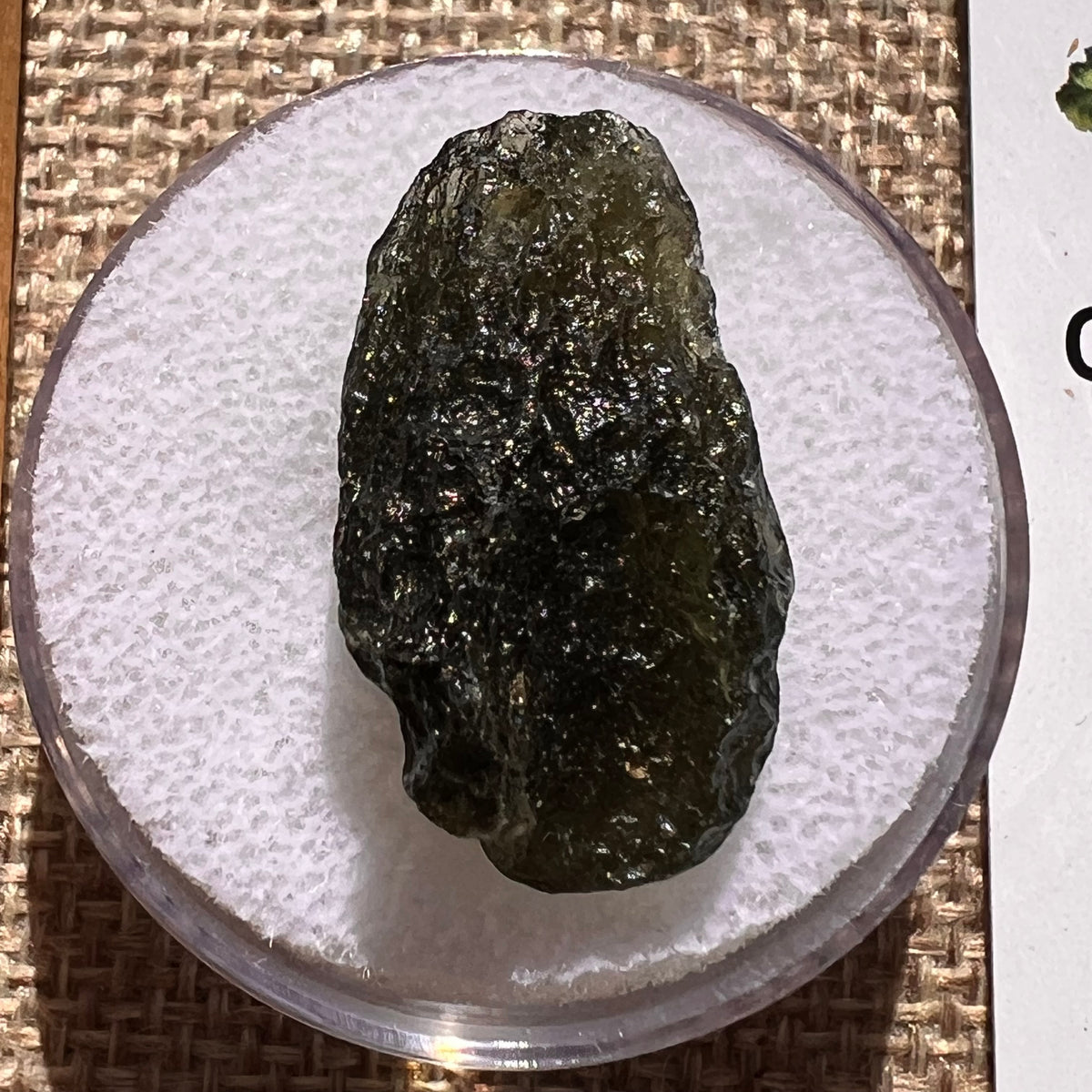 Moldavite 4.1 grams #2393-Moldavite Life