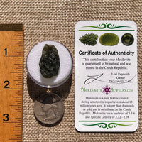 Moldavite 4.1 grams #2393-Moldavite Life