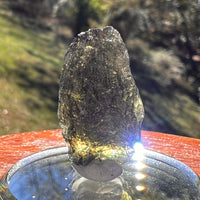 Moldavite 4.1 grams #2393-Moldavite Life