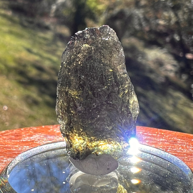 Moldavite 4.1 grams #2393-Moldavite Life