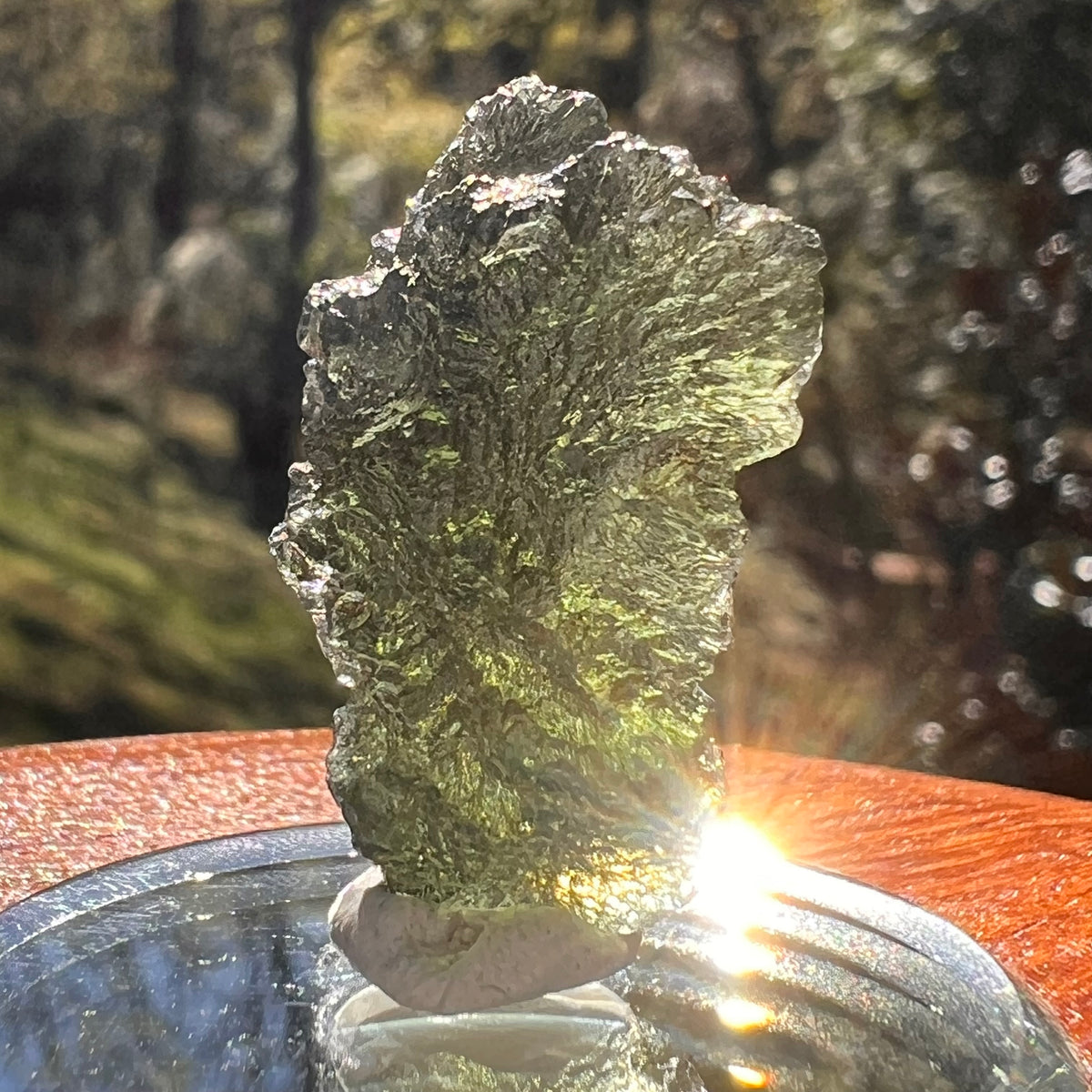 Moldavite 4.1 grams #2394-Moldavite Life