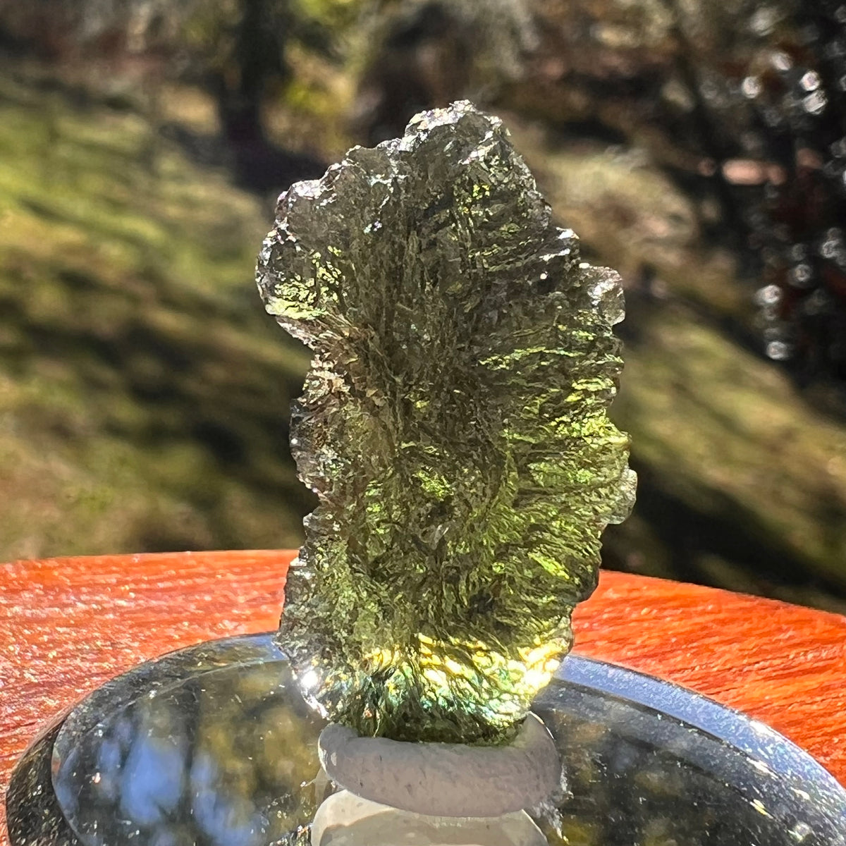 Moldavite 4.1 grams #2394-Moldavite Life