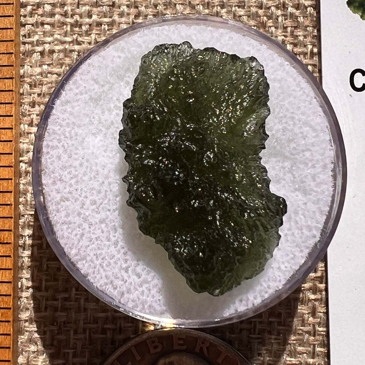 Moldavite 4.1 grams #2394-Moldavite Life