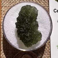 Moldavite 4.1 grams #2394-Moldavite Life