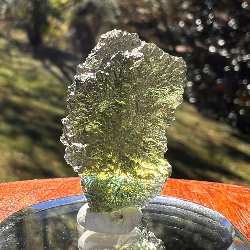 Moldavite 4.1 grams #2394-Moldavite Life