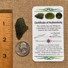 Moldavite 4.2 grams #1662-Moldavite Life