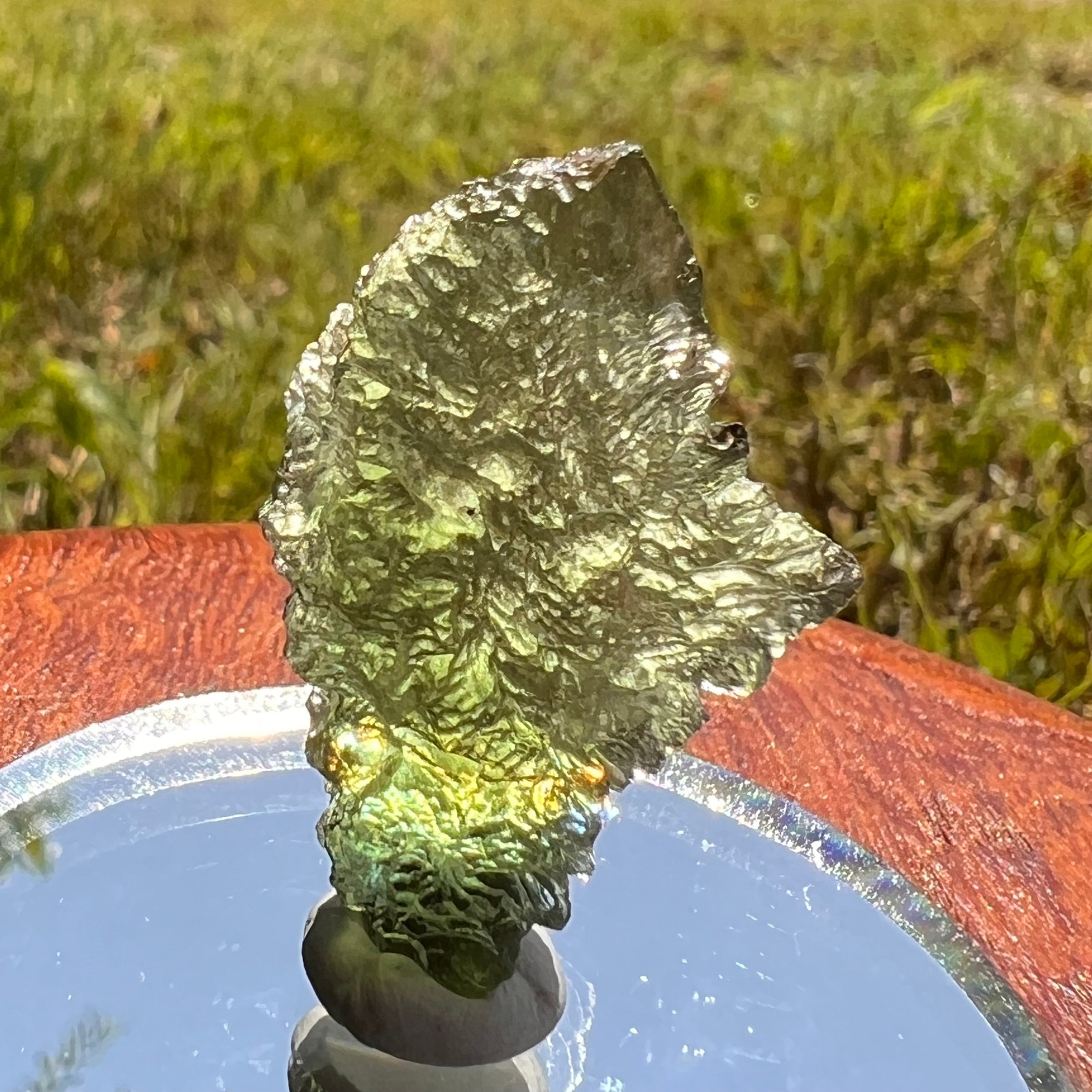 Moldavite 4.2 grams #1662-Moldavite Life