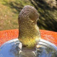 Moldavite 4.2 grams #2392-Moldavite Life