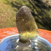 Moldavite 4.2 grams #2392-Moldavite Life
