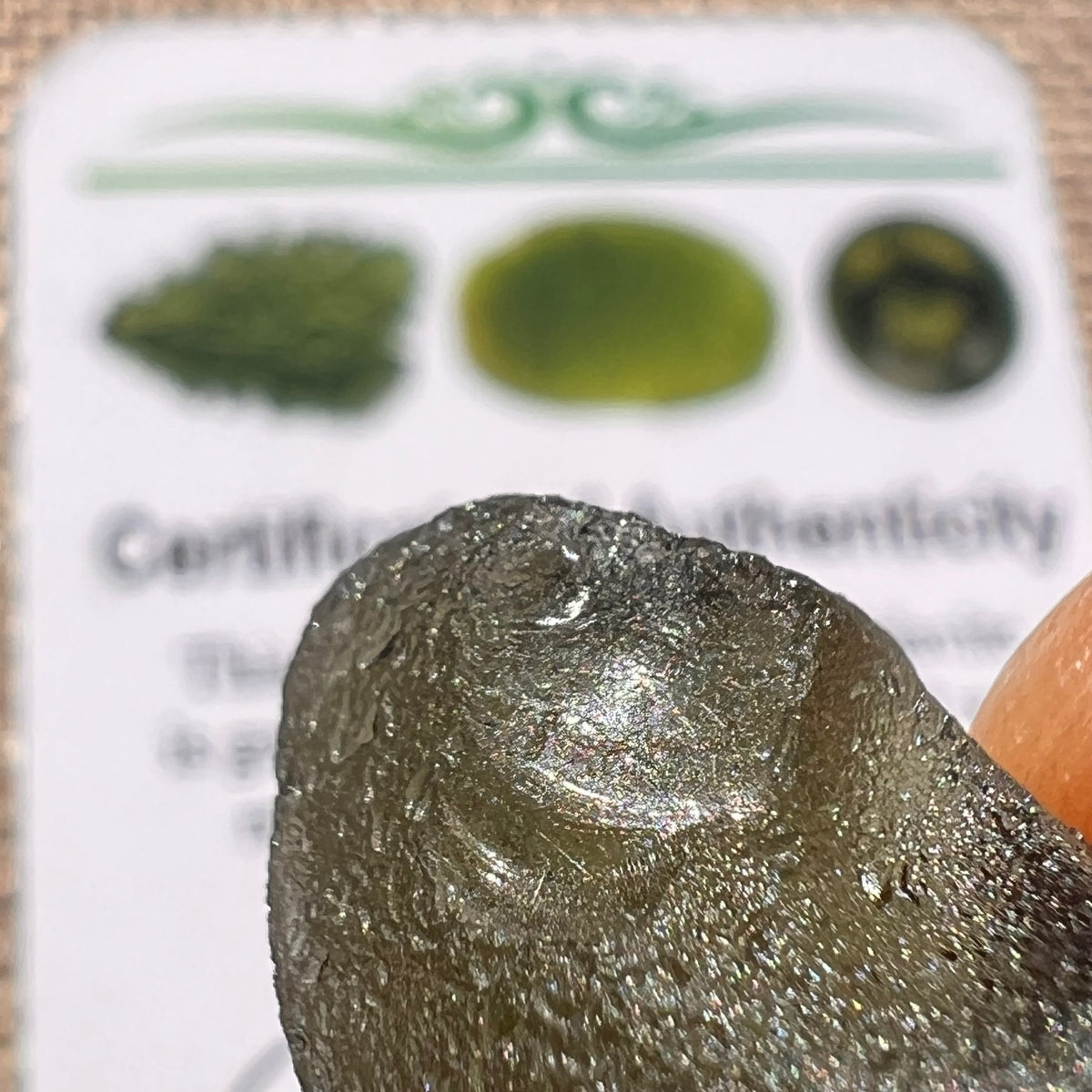 Moldavite 4.2 grams #2392-Moldavite Life