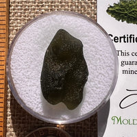 Moldavite 4.2 grams #2392-Moldavite Life