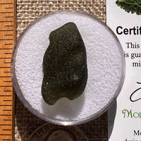 Moldavite 4.2 grams #2392-Moldavite Life