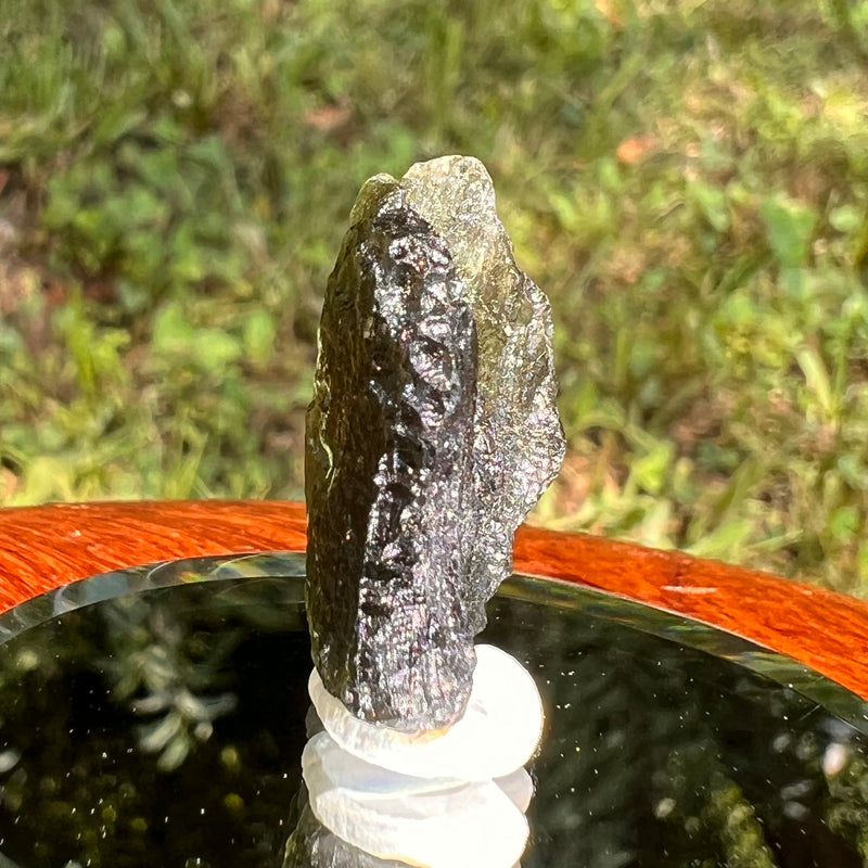 Moldavite 4.3 grams #1665-Moldavite Life