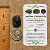 Moldavite 4.3 grams #1665-Moldavite Life