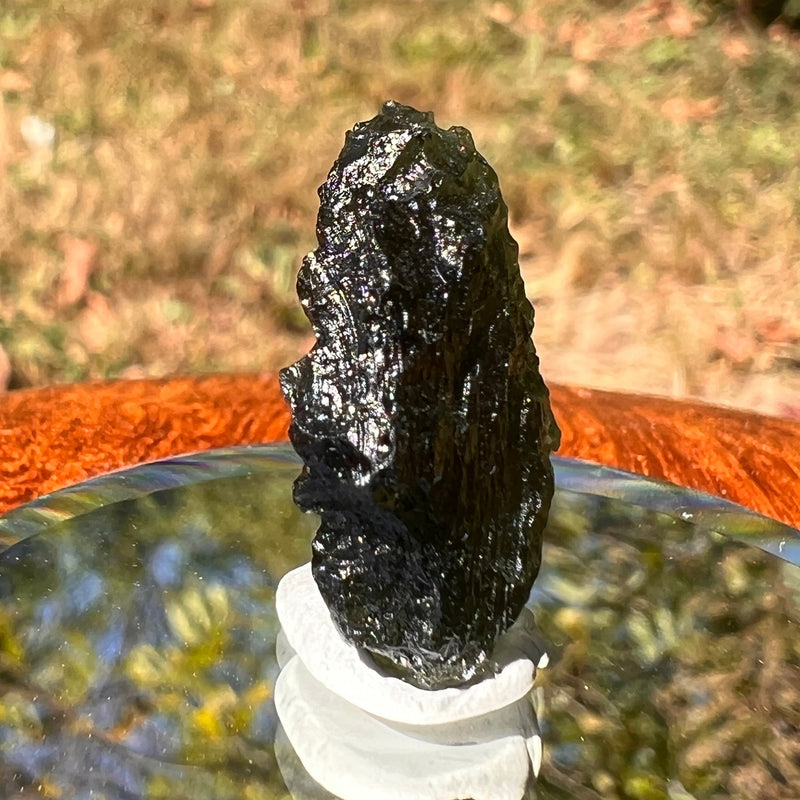 Moldavite 4.4 grams #1746-Moldavite Life