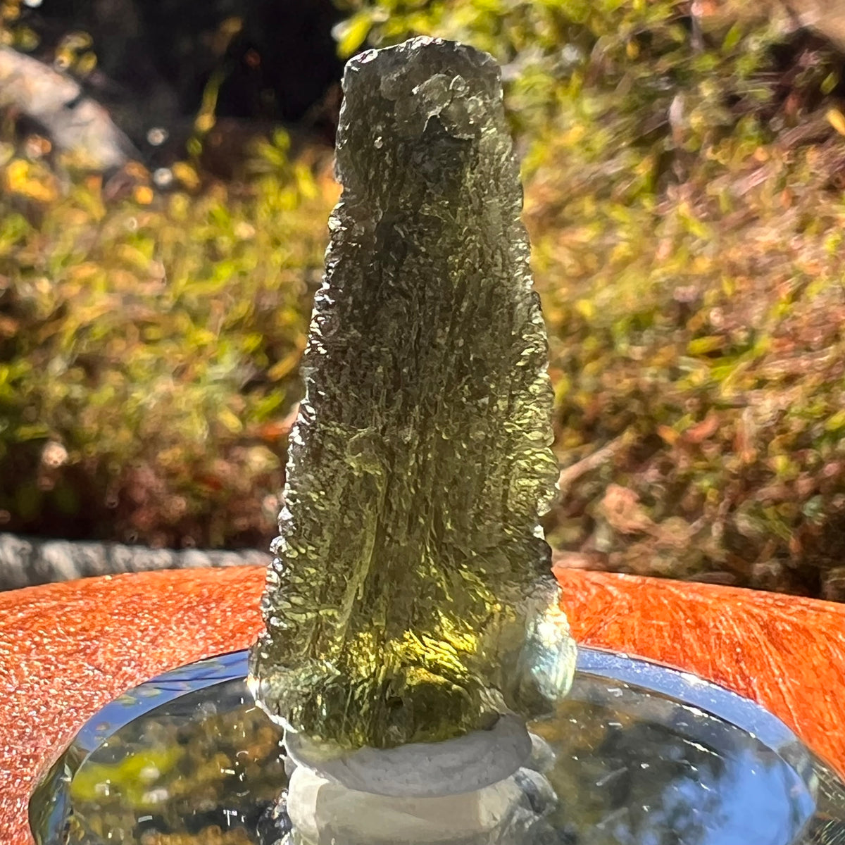 Moldavite 4.4 grams #2216-Moldavite Life