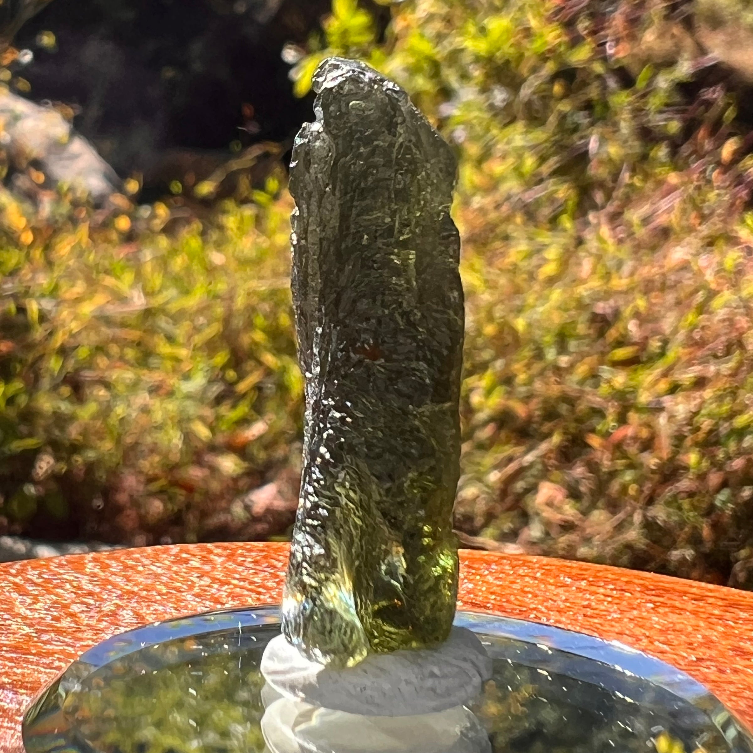Moldavite 4.4 grams #2216-Moldavite Life